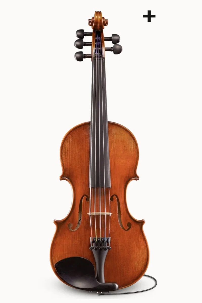 Samuel Eastman Series+ VC145+ CELLO — Vermont Violins